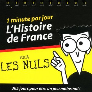 L'Histoire de France pour les Nuls en 365 fiches.