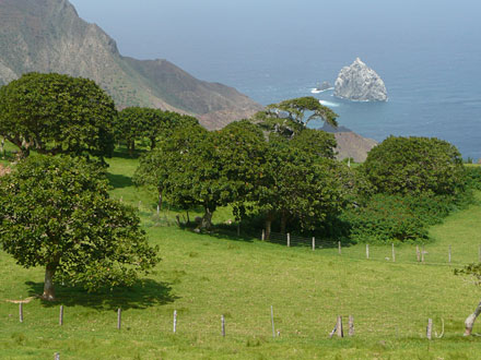 Paysage de l'île de Sainte-Hélène, dans l'hémisphère sud, à l'est des côtes du Brésil, à l'ouest de celles de l'Afrique.