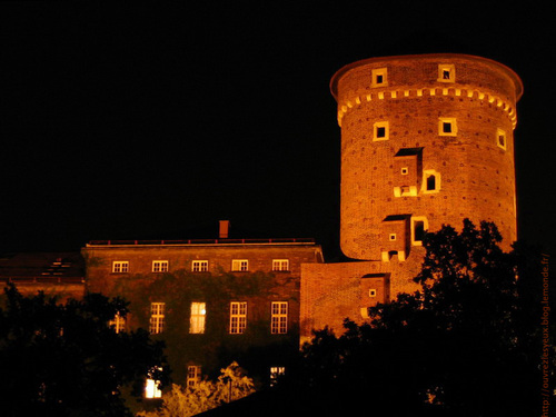 Château du Wawel à Cracovie en Pologne