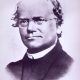 Johann Gregor Mendel (1822 - 1884)