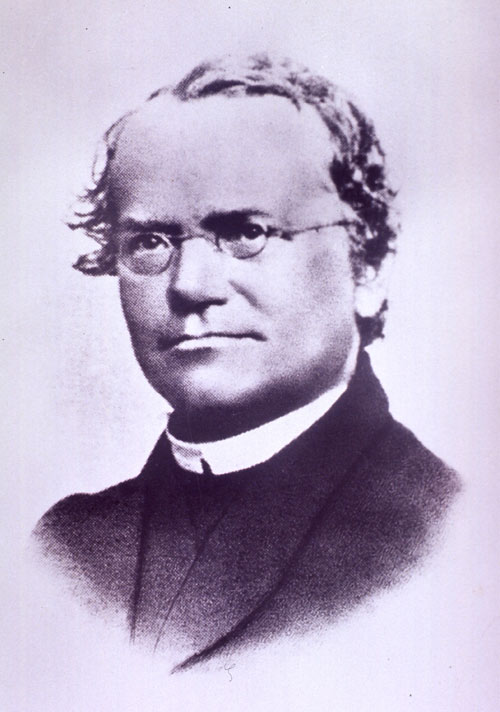 Johann Gregor Mendel (1822 - 1884)